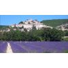 Visite guidate "Time 4 Provence"